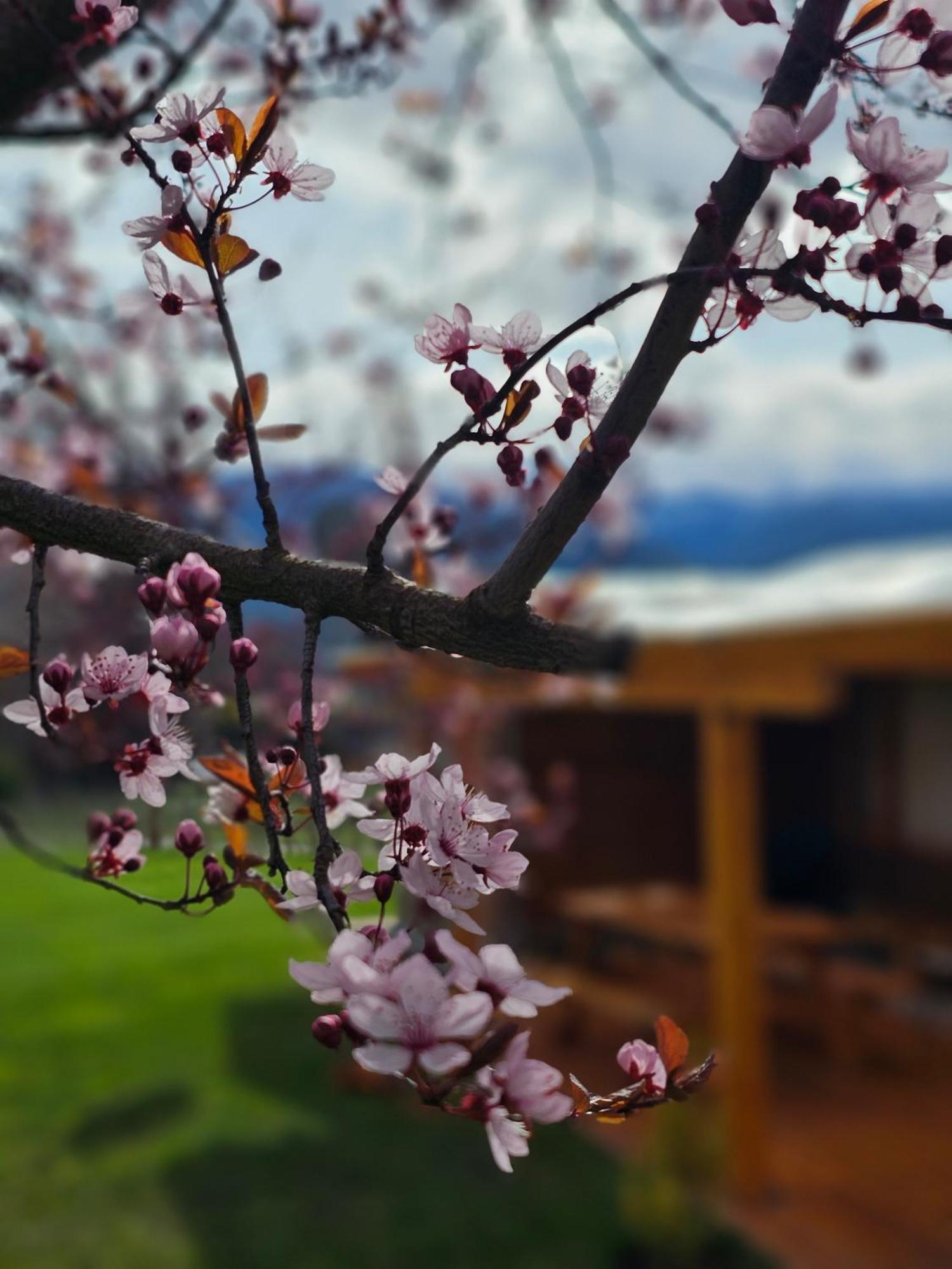 La Yaya - Villa Turismo El Bolsón Zewnętrze zdjęcie